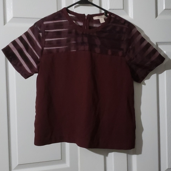 Forever 21 Tops - Forever 21 Burgundy Mesh Stripe Short Sleeve Top